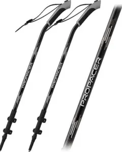 Item thumbnail for item 624f85a5-b6fc-4c40-bc52-5a91894953ed