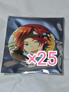 あんスタ コレクション缶バッジ 2026 Feb Casual 鉄虎 - メルカリ