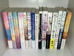 小説 15冊 まとめ売り（1月中に処分）