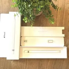 〖ジャンク〗Apple Pencil 第1世代