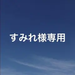 すみれ@プロフ推読様 リクエスト 2点 まとめ商品