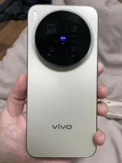 Vivo x300 pro china version