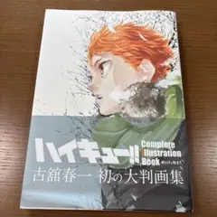 ハイキュー!! Complete Illustration book 終わりと…