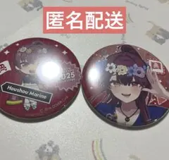 ホロライブ　後夜祭　缶バッジ　宝鐘マリン　47個 hololive SUPER EXPO 2024 後夜祭 宝鐘マリン 缶バッジ Art