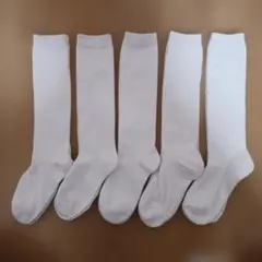 Item thumbnail for item 2bc9beb5-0cf4-4c3a-8971-117dea6ebc8a