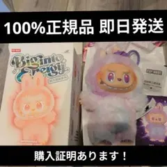 【正規品】POPMART ラブブ　エナジー　LUCK