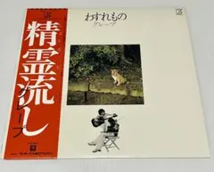 希少 昭和レトロ グレープ わすれもの レコード LPレコード