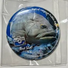名古屋港水族館　缶バッジのサムネイル