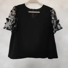 チェスティ花柄刺繍 シースルー袖 半袖ブラウス ブラックのサムネイル