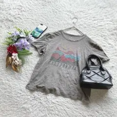 アメリカンイーグル 半袖Tシャツ グラフィック S コットン混 カジュアル