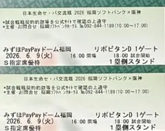 【通路側】6月9日ソフトバンクホークス×阪神タイガース S指定席ペアチケットのサムネイル
