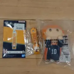 ハイキュー‼︎ 一番くじ　ちょこのっころんぬいぐるみ、ぽこっとちゃーむ　日向翔陽