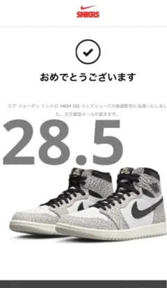 Nike Air Jordan 1 High OG 