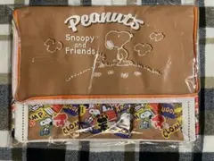 スヌーピー　保冷保温BIGマルチバッグ　茶色