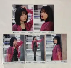 2026年最新】生田絵梨花 生写真の人気アイテム - メルカリ