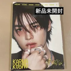 スキズ　KARMA アコーディオンバージョン　 リノ　新品未開封