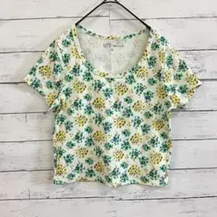 ユニクロ UNIQLO クロップドUTグラフィックT 半袖 ポールアンドジョー