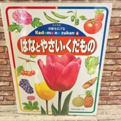 2026年最新】夏の虫夏の花 645種の身近な生きものの世界 （かがくの
