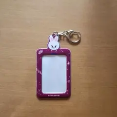 StrayKids　リービット　カードホルダー