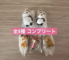 パンダコパンダ めじるしアクセサリー ガチャガチャ フルコンプセット 全5種