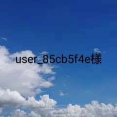 user_85cb5f4e様　ブローチ2点