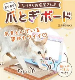 Item thumbnail for item 1c4a6aec-297a-4c04-99a3-9f736f9230ae