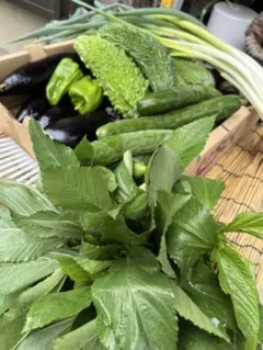 なおちゃん様専用です