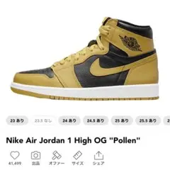 Nike Air Jordan 1 High OG 