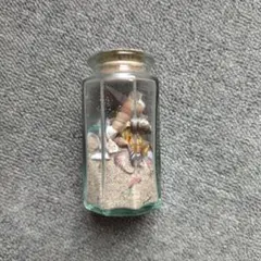 ハワイ土産 貝と砂の瓶詰め