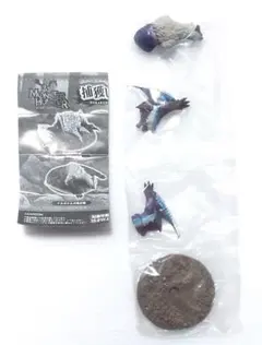 モンスターハンター 捕獲し隊 亜種・希少種　　ナルガクルガ希少種
