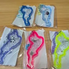 BIWAKO 琵琶湖 アクリルキーホルダー 5色セット