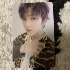 チソントレカ2枚セット