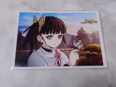 鬼滅の刃 ufoカフェ ブロマイドくじ 立志編 OP 栗花落カナヲ