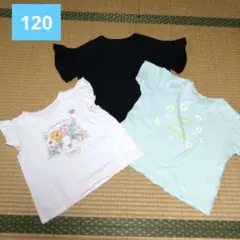 半袖Tシャツ　女の子　120 ネコ　花　黒