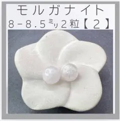 Item thumbnail for item c8874825-fa76-438b-9cc9-4e3767a72745