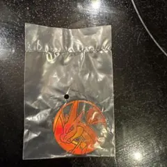 ポケモンコインコレクション　メガリザードンY 第6弾　ポケモンセンター　ガチャ