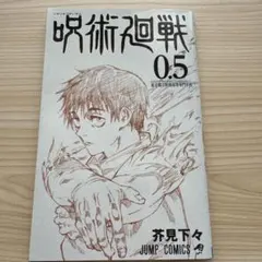 呪術廻戦　0.5