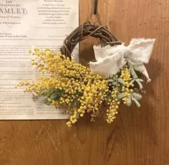 ミモザ リース　ドライフラワー