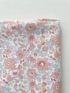 1m(延長可) liberty タナローン betsy