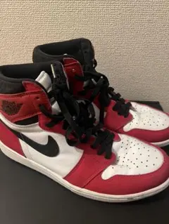 NIKE AJ1 HIGH カスタム品 (27.5)