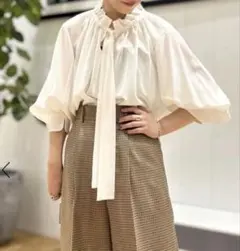 新品未使用】AUBRIOT アムンゼン フリルディティールブラウス FREE 
