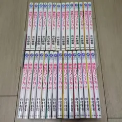 純情ロマンチカ 1〜29巻 全巻セット