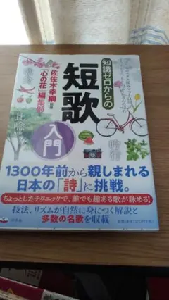 期間限定お値下げ!早い者勝ち! 知識ゼロからの短歌入門