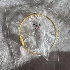 わんこのタイムカプセル　【ラテ】