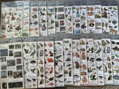値下げ⭐️大人の図鑑シール　動物・植物・食べ物イラストシールセット
