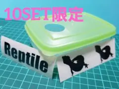 레오파니시아웨트쉘터 파충류