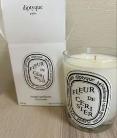 diptyque CITROUILLE キャンドル 190g - メルカリ
