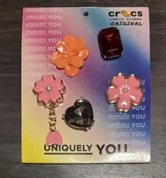 【週末限定】クロックス チャーム Crocs Jibbitz 5個セットのサムネイル