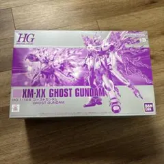 HG 1/144 XM-XX ゴーストガンダム　 新品未開封 HG 1/144 XM-XX ゴーストガンダム 新品未開封 HG 1/144 ゴースト