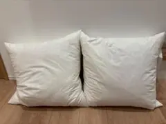 이케아 2 깃털 누드 쿠션